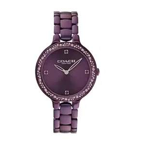 Women Chelsea Embellished Dial Bracelet Style Straps Analogue Watch 14504353